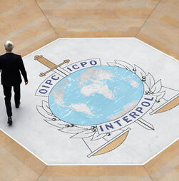 Mais de 150 detidos em operação da Interpol que incluiu Portugal