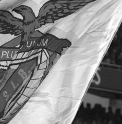 João Garrido, antigo jogador do Benfica, morre aos 94 anos