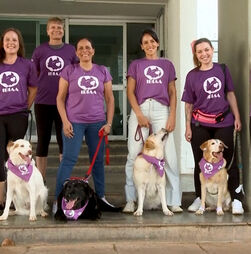 Cães de terapia ajudam pacientes com problemas de saúde mental em hospital no Brasil  