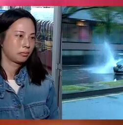 Proteção Civil registou 68 ocorrências até às 7h devido à chuva