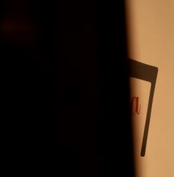 Máxima assinala 37 anos: Catarina Furtado, Camila Coelho e Kelly Bailey são as caras da edição especial da revista