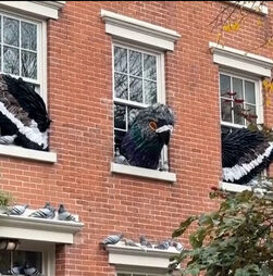 Pombo gigante realista dá nas vistas em fachada de Nova Iorque durante celebrações do Halloween