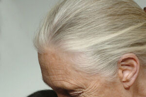 Jane Goodall com chimpanzé