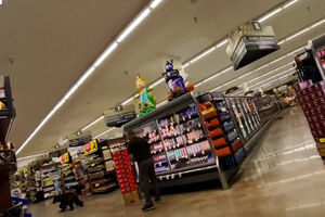 Urso surpreende clientes de supermercado nos EUA  