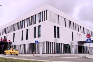 Bebé nasce à porta do Hospital de Sintra; agente Jéssica Miguéis faz de parteira
