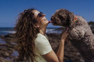 Lamber é sempre sinal de carinho? Descubra o que o seu cão quer comunicar através das lambidelas