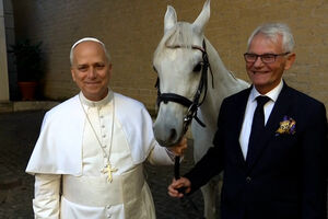 Papa Leão XIV recebe cavalo árabe puro-sangue  