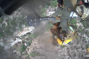 Cão resgatado após queda em desfiladeiro nos EUA 