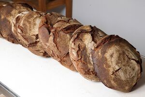 A Gleba reestrutura dívida de oito milhões após expansão na região de Lisboa