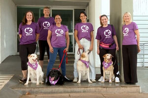 Cães de terapia ajudam pacientes com problemas de saúde mental em hospital no Brasil