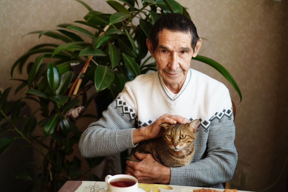 Ter um animal traz muitos benefícios para os idosos. Mas como escolher o patudo certo? 