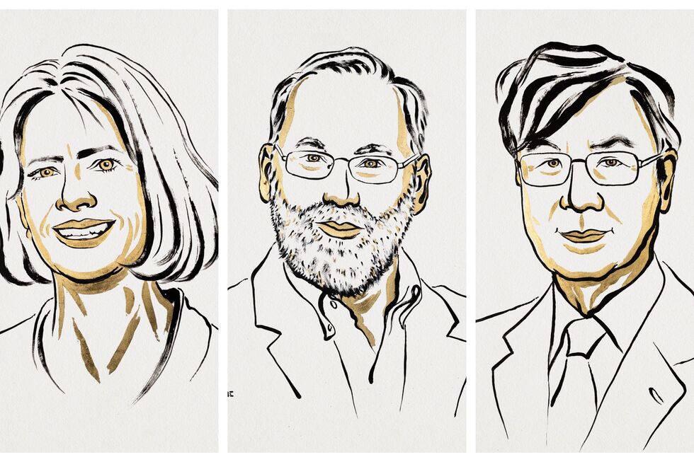 Nobel da Medicina para Mari E. Bunkwon, Fred Ramsdell e Shimon Sakaguchi pela tolerância imuno-periférica