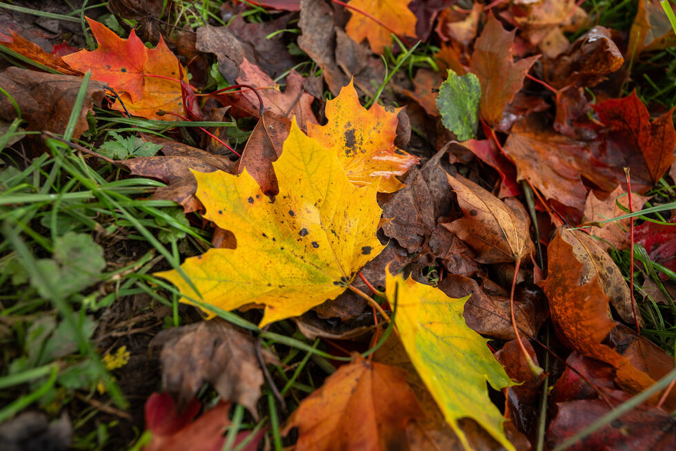 20 sugestões para aproveitar a nova estação