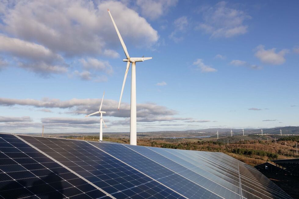 Quercus está preocupada com os impactos do projeto Sophia