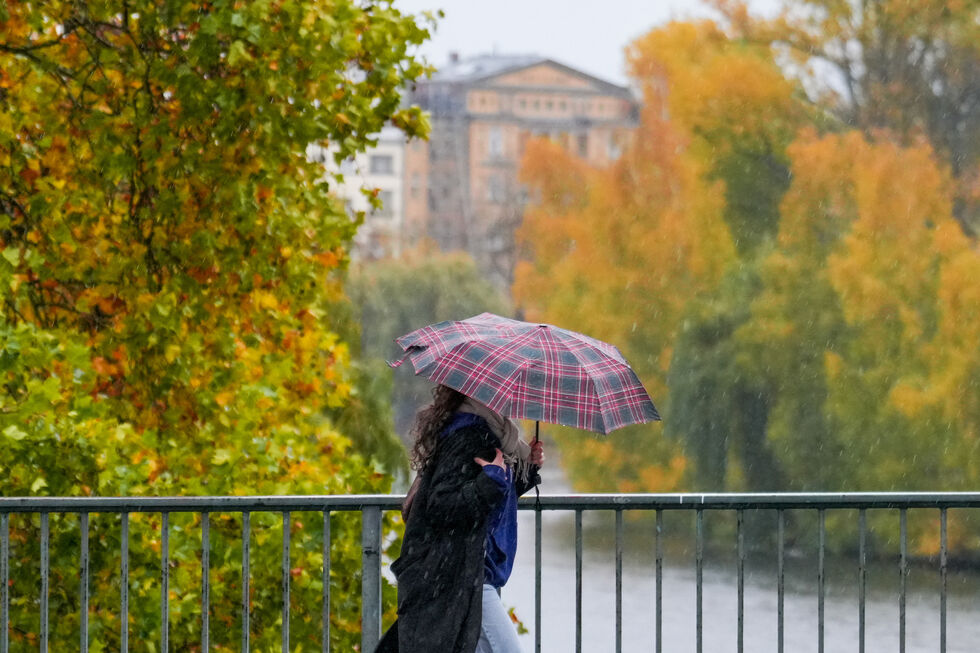 Psicólogos dão dicas para combater mal-estar na chegada do outono
