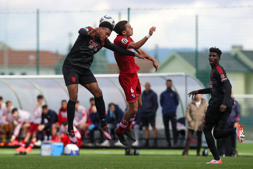 Estudo alerta para risco de demência por impactos na cabeça de jogadores de futebol