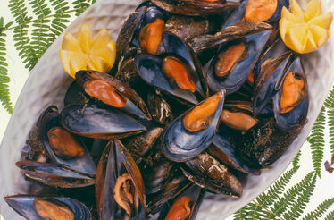 Os mexilhões são dos mariscos mas apreciados em Espanha