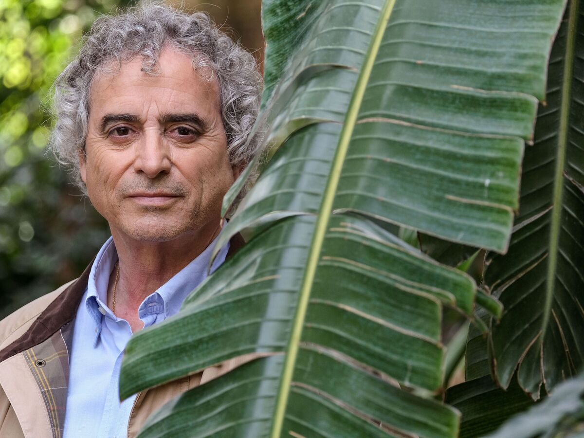 Ildefonso Falcones: "O sexo na literatura funciona bem e não tem de ser puritano"