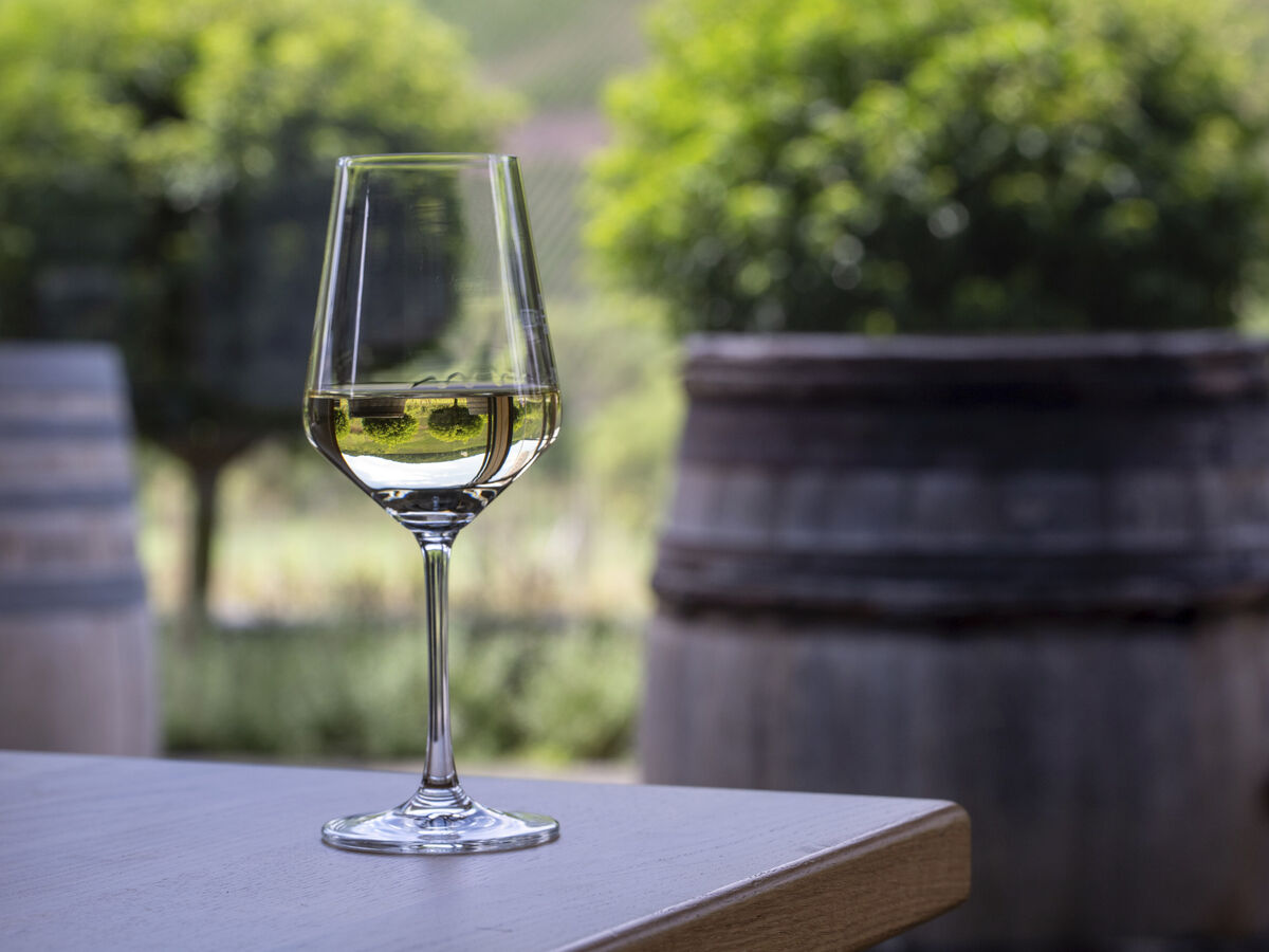 Cinco vinhos brancos que aguentam bem o frio