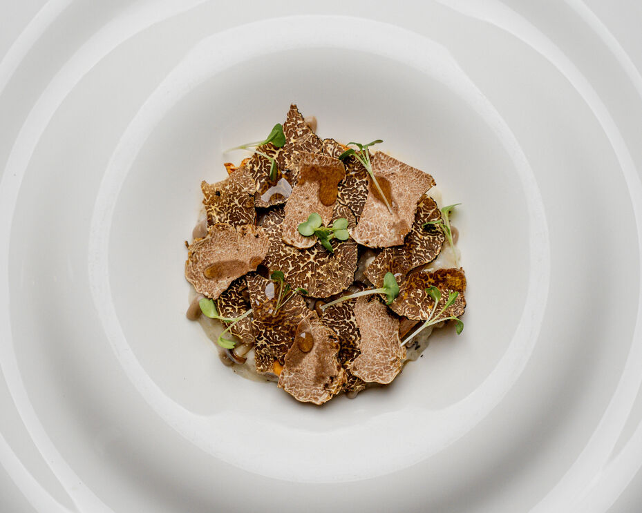 O Taste &amp; Toast Fest convida este ano alguns dos chefs mais premiados do País a trabalharem, no hotel The Yeatman, em Vila Nova de Gaia, pratos com trufas e cogumelos 