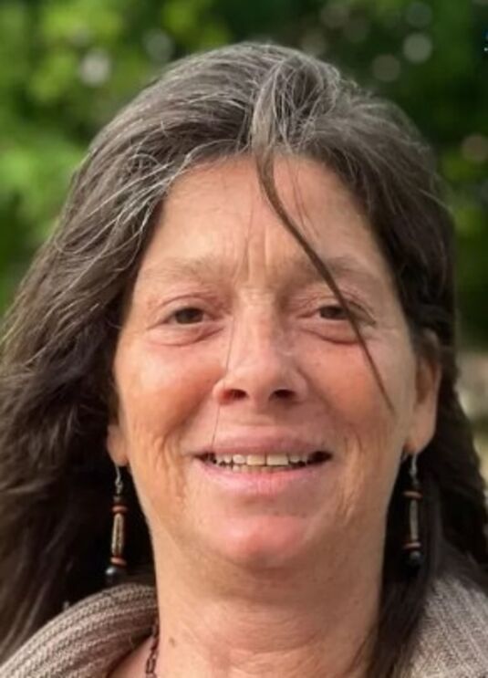 A socióloga Anabela Vogado diz que a greve geral 'não é nunca uma decisão tomada de ânimo leve'