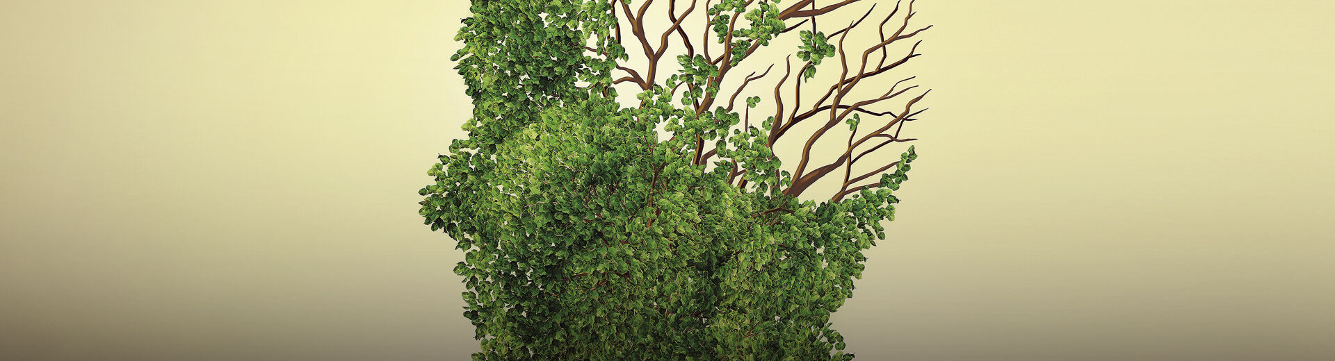 12 a 18 de novembro de 2025