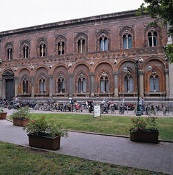 Esqueletos, canábis e ouro