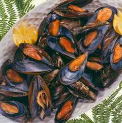 A Espanha é um tesouro na arte culinária