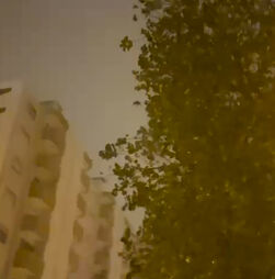 Mau tempo: Proteção civil registou 150 ocorrências entre as 00:00 e as 07:00