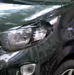 Queda de árvore danifica carros no Saldanha