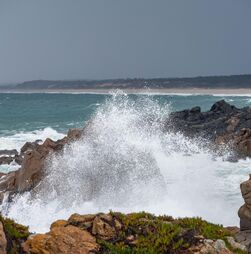 Todos os distritos costeiros estão sob aviso laranja devido à agitação marítima
