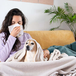 Constipações caninas e felinas: mito ou verdade? Descubra aqui tudo o que precisa saber