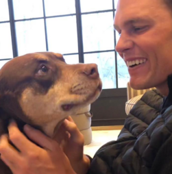 Tom Brady tem uma cadela clonada e tendência já vai além dos famosos