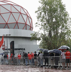 Benfica anuncia tempo de espera de 30 minutos para votar e promete 'informação permanente'