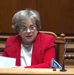 Forças policiais vão poder usar câmaras nas fardas em 2026 