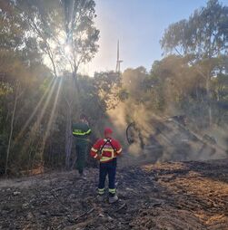 Portugal junta-se a 48 países na COP30 para reforçar prevenção contra incêndios