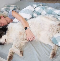 Será que é boa ideia dormir com os patudos? Fique a conhecer os prós e contras deste hábito