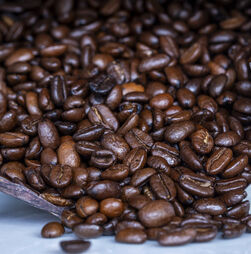 Resgatados 2.772 trabalhadores em condições de escravatura no Brasil em 2025