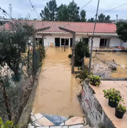 Habitação onde morreu um casal de idosos está ilegal 