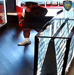 Homem procurado por roubar 8 mil euros em cartas colecionáveis de basebol e Pokémon em Nova Iorque