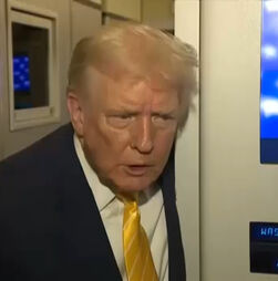 Trump pede investigação à relação entre Epstein e Bill Clinton. 'Passaram grande parte das suas vidas' na ilha privada