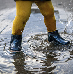 Movimento Bloom, para tirar crianças do sofá e levá-las a subir árvores