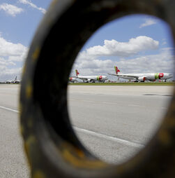 PJ faz buscas na TAP e na empresa de transportes Barraqueiro