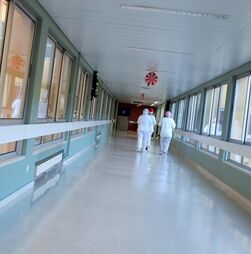 Sindicato estima que faltem 2.000 enfermeiros no Algarve