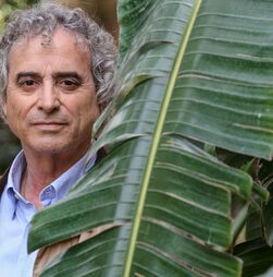 Ildefonso Falcones: 'O sexo na literatura funciona bem e não tem de ser puritano'