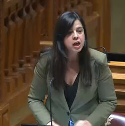 PAN critica Governo por dar “mais de 600 milhões de euros em borlas fiscais às empresas que mais poluem e lucram”