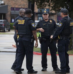 Governo com 'particular atenção' a rusgas do ICE nas comunidades portuguesas nos EUA 