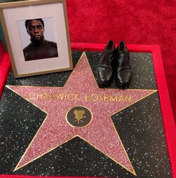 Ator Chadwick Boseman recebe estrela no Passeio da Fama de Hollywood  