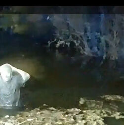 Recluso foge de prisão na Florida e é apanhado horas depois 