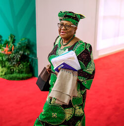 G20: Diretora da Organização Mundial do Comércio defende 'mudanças sistémicas' na organização